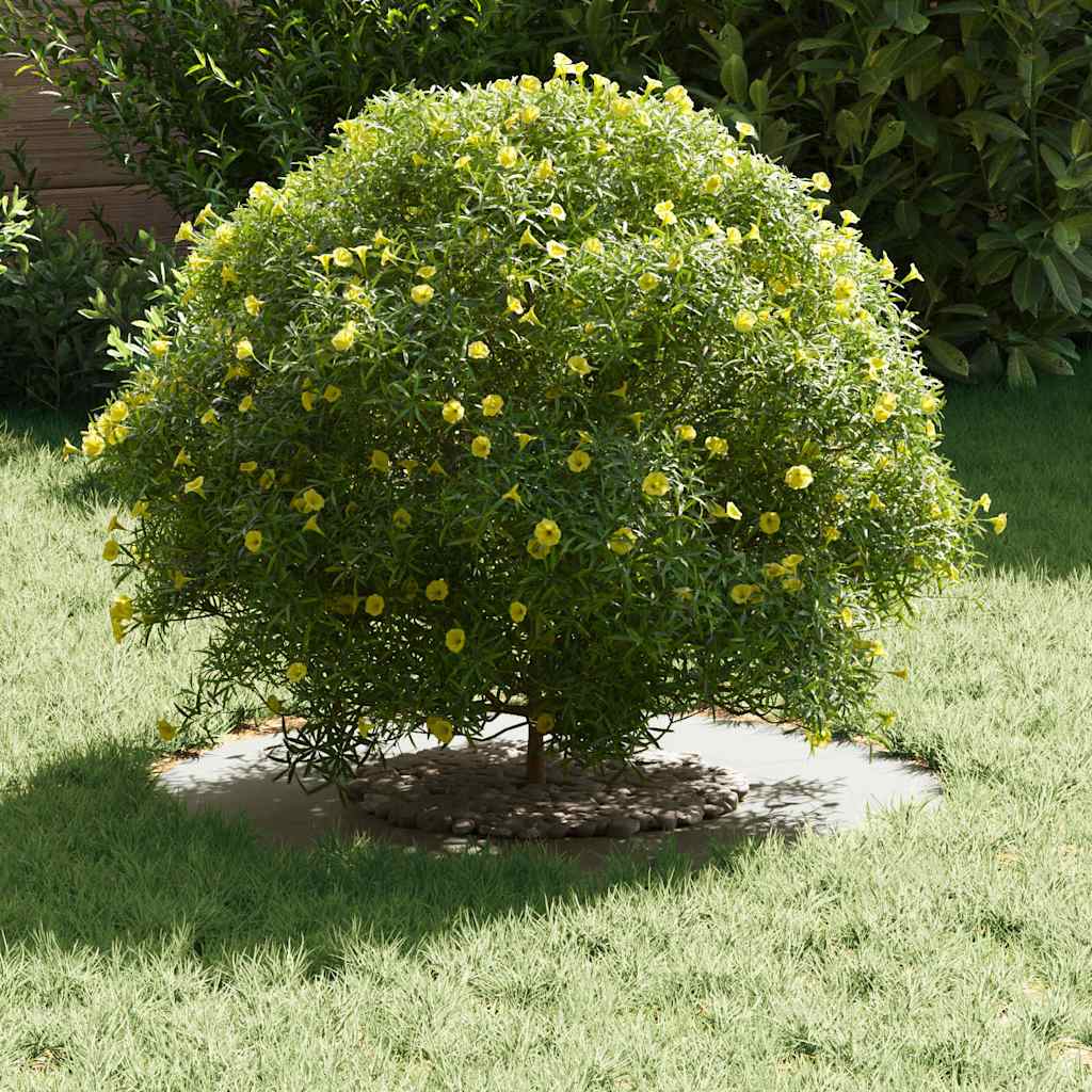 Flache Baumringe 5 pcs Weiß Ø30 / 60 cm Stahl